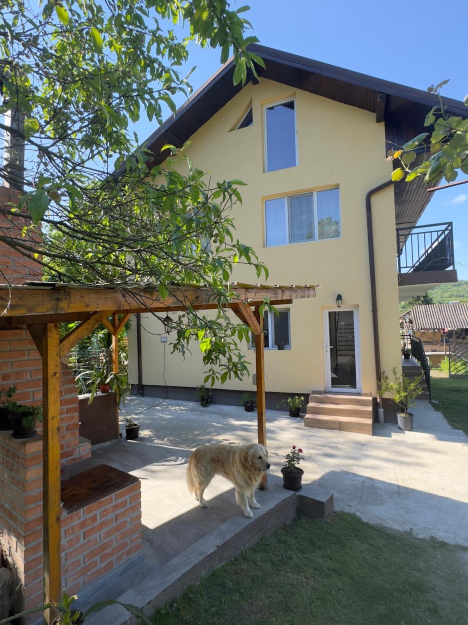 מלון אוקנלה מארי Casa Lucia מראה חיצוני תמונה